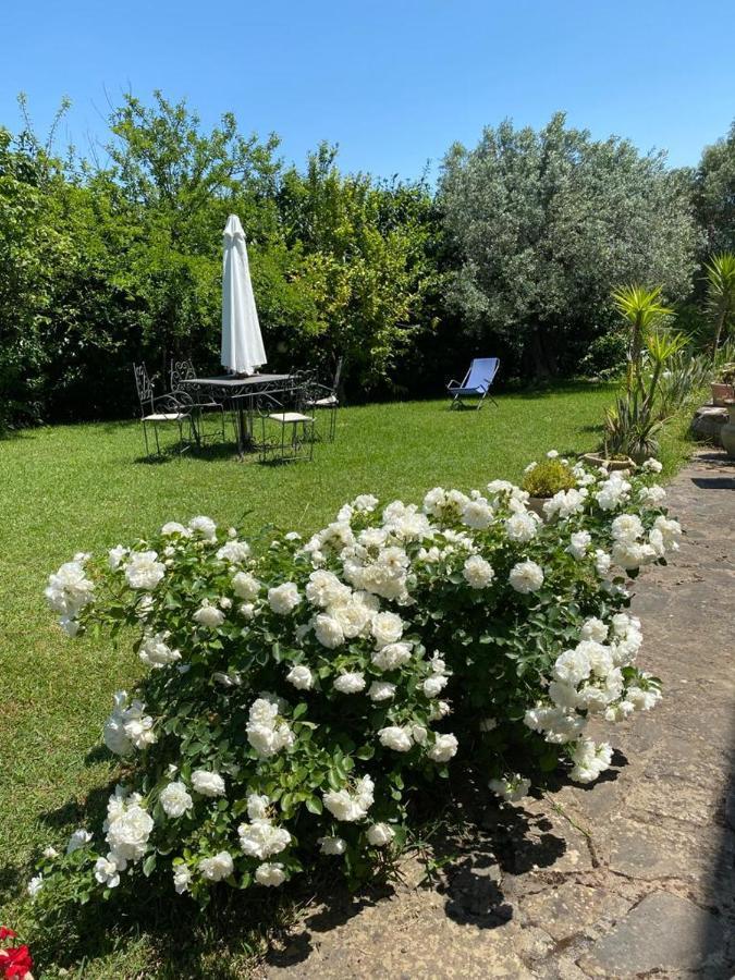 Casa Marilu Villa ซานตามาเรีย ดิ กาสเตลลาบาเต ภายนอก รูปภาพ